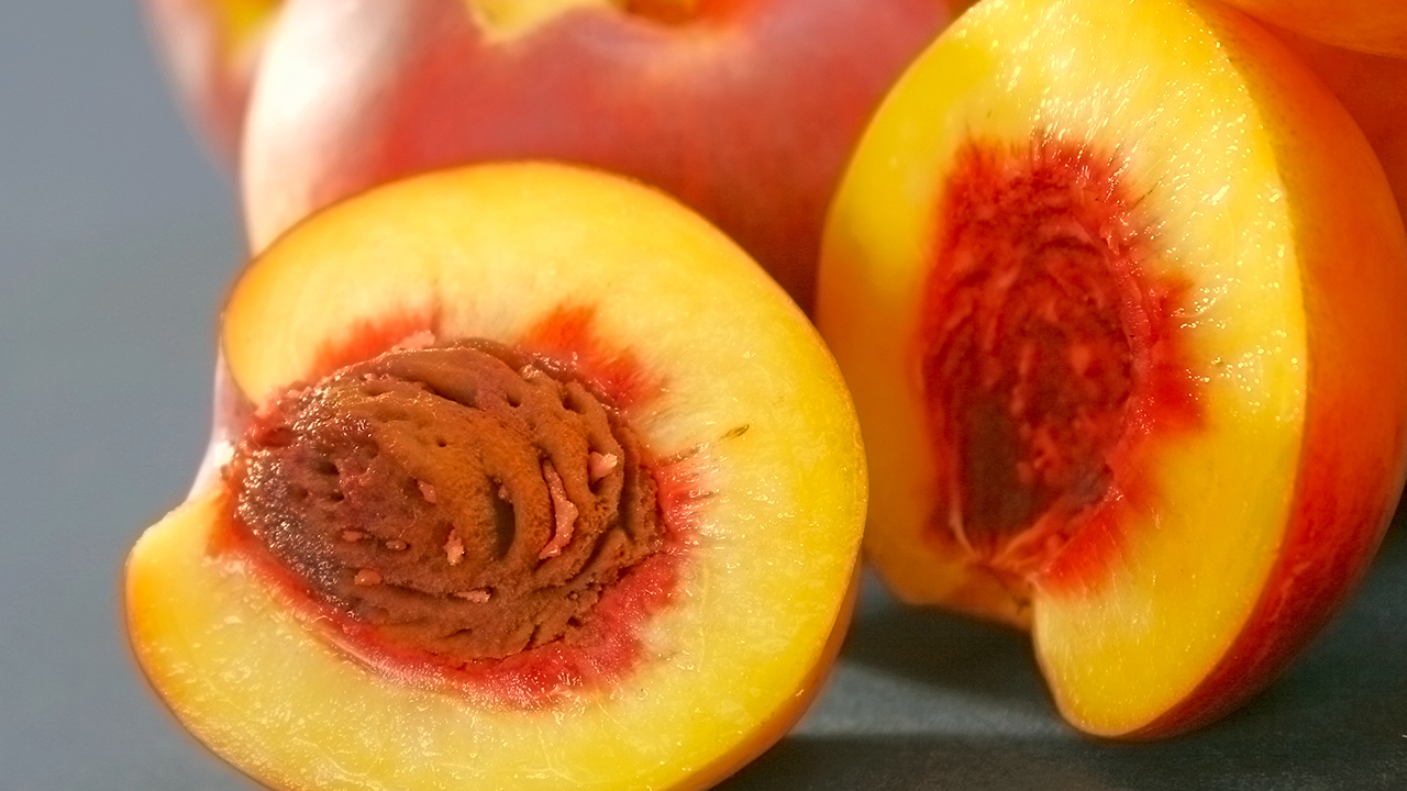 排毒减肥食谱吃什么? 最新食谱大全帮你清肠排毒